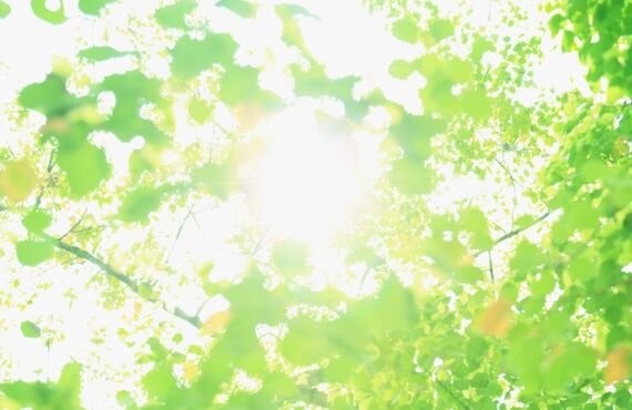 戸塚安行で駐車場完備の、疲れた時お車ですぐ来られるマッサージ出来る店❕